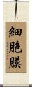 細胞膜 Scroll