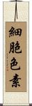 細胞色素 Scroll
