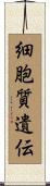 細胞質遺伝 Scroll