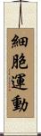 細胞運動 Scroll