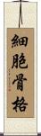 細胞骨格 Scroll