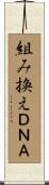 組み換えＤＮＡ Scroll