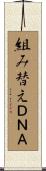 組み替えＤＮＡ Scroll