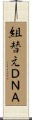 組替えＤＮＡ Scroll