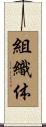 組織体 Scroll
