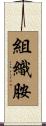 組織胺 Scroll