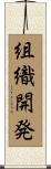 組織開発 Scroll