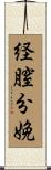 経膣分娩 Scroll
