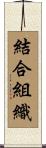 結合組織 Scroll