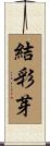 結彩芽 Scroll