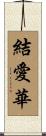 結愛華 Scroll