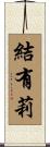 結有莉 Scroll