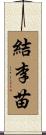 結李苗 Scroll
