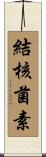 結核菌素 Scroll