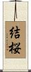 結桜 Scroll