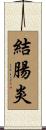 結腸炎 Scroll
