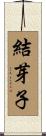 結芽子 Scroll