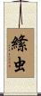 絛虫 Scroll