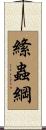 絛蟲綱 Scroll