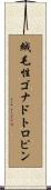 絨毛性ゴナドトロピン Scroll
