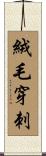 絨毛穿刺 Scroll