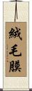 絨毛膜 Scroll