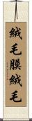 絨毛膜絨毛 Scroll
