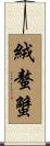 絨螯蟹 Scroll