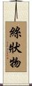 絲狀物 Scroll