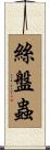 絲盤蟲 Scroll