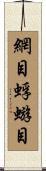 網目蜉蝣目 Scroll