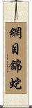 網目錦蛇 Scroll