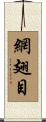 網翅目 Scroll