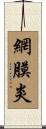 網膜炎 Scroll