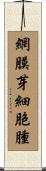 網膜芽細胞腫 Scroll
