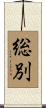 総別 Scroll