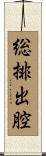 総排出腔 Scroll