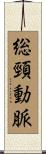 総頸動脈 Scroll