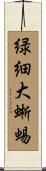 緑細大蜥蜴 Scroll
