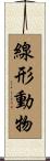 線形動物 Scroll