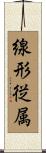 線形従属 Scroll