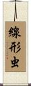 線形虫 Scroll