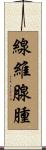 線維腺腫 Scroll