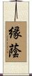 縁蔭 Scroll