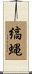 縞蝿 Scroll