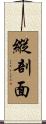 縱剖面 Scroll