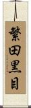 繁田黒目 Scroll