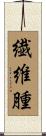 繊維腫 Scroll
