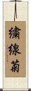 繍線菊 Scroll