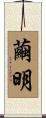 繭明 Scroll
